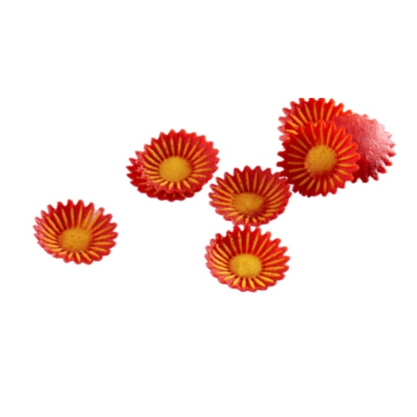 Floarea Soarelui R
