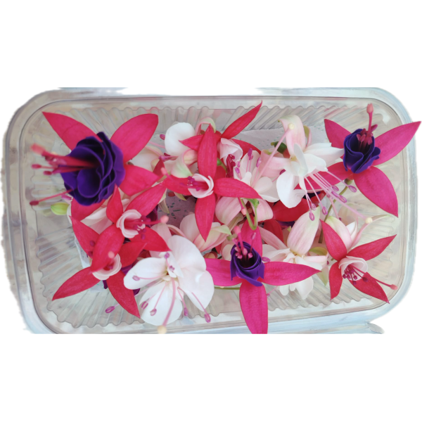Flori Naturale Comestibile